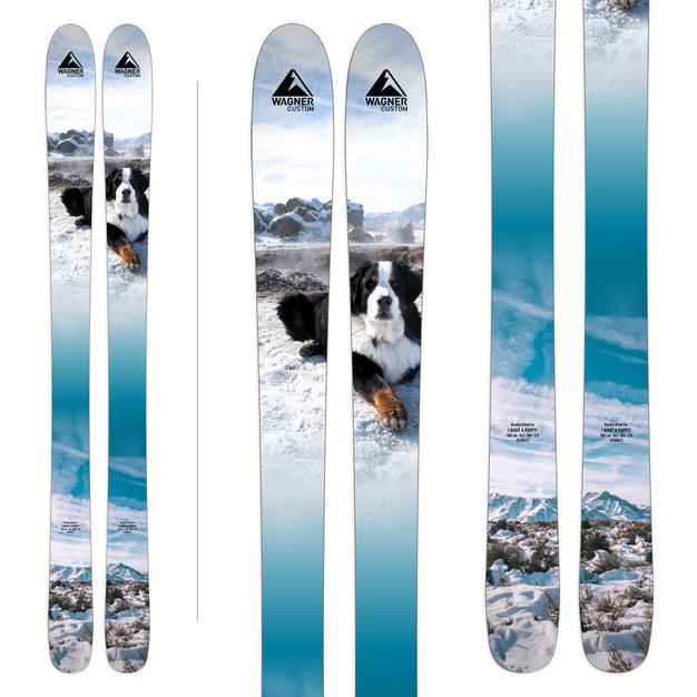 Dogs
