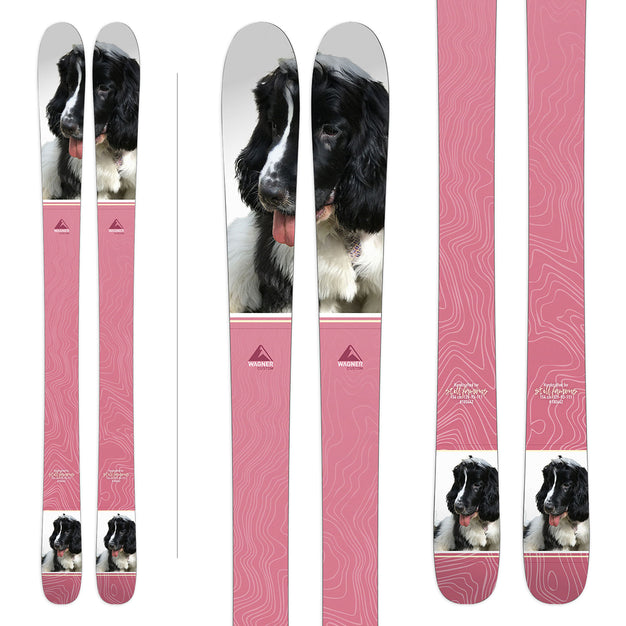 Dogs